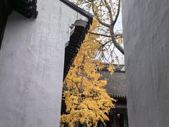 -必胜客(烟火食堂观前店)