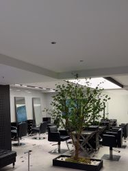 点击看大图 -付军剪艺JF ProSalon