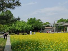 -北坞公园