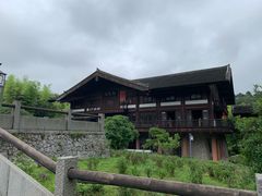 -大唐贡茶院