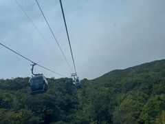 -普陀山风景区-佛顶山