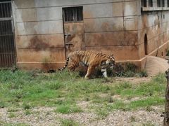 -昆明动物园