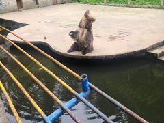 -贵州森林野生动物园