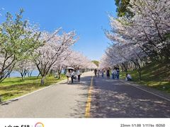 -团城山公园