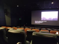 -首都电影院(金融街店 杜比全景声)