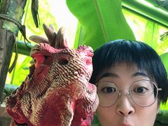 -呀路古热带植物园