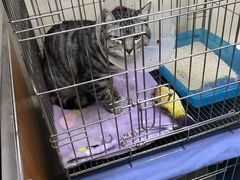 -康乐宝动物医院