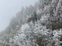-南岳大庙