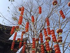 -汴河街