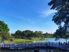 -东莞植物园
