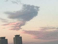 -台场海滨公园船码头