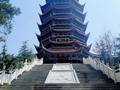 -铁山坪森林公园