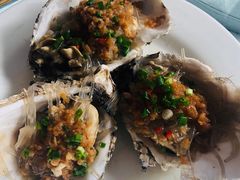蒜蓉粉丝烤生蚝-双井轩(双井店)
