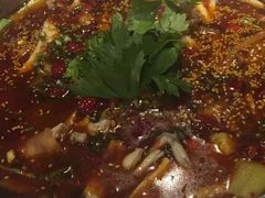 -靓蛙馆
