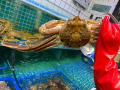 -震海贝烤贝·民俗特色店(延吉总店)