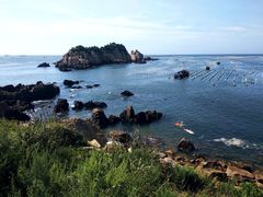 -枸杞岛