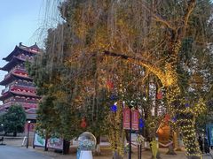 -祥源·阜阳生态乐园