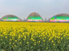 -中国天府农业博览园