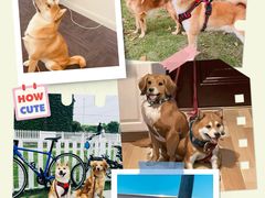 -SFC上影百联影城(川沙IMAX店)