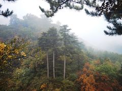 -玉渡山自然风景区