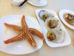 海星-海岛渔村大酒店(云霄路店)