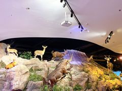 -陕西自然博物馆