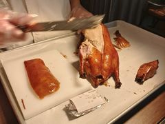 -秀儿四九城·新京菜(亚运村鸟巢店)