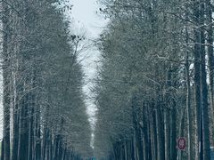 -上海怡沁园度假酒店