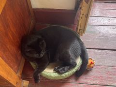 -春风十里咖啡馆