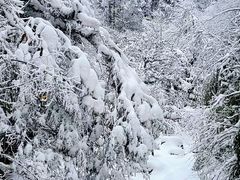 -龙苍沟森林公园