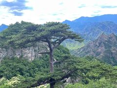 -圣莲山风景区