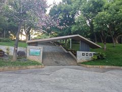 -玉树公园