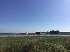 -盐城丹顶鹤湿地生态旅游区