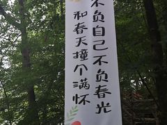 -大金鹰园