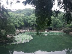 -忠山公园