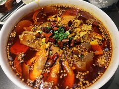 -三强鸽子(中原路店)