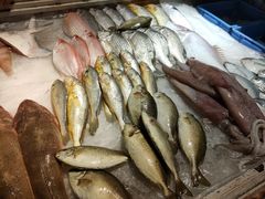 -肥信潮菜(科新路店)