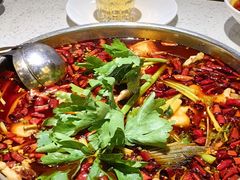-蛙蛙鸡冷锅鱼(驷马桥店)