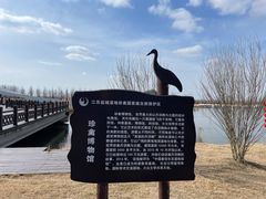 -盐城丹顶鹤湿地生态旅游区