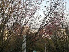 -飞凤山奥体公园