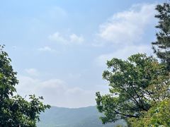 -金龙寺国家森林公园