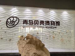 -青岛贝壳博物馆