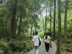 -凤栖山