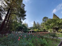 -苏州大学(天赐庄校区)