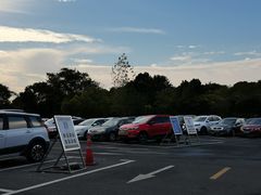 -上海佘山国家森林公园东门地面停车场