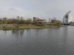 -南汇新城城市公园