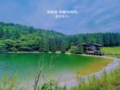 -武陵山森林公园