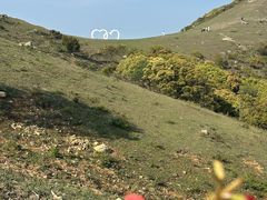 -大姆山草场