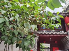 -老张烤羊(王哥庄店)