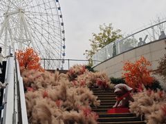 -南昌之星摩天轮